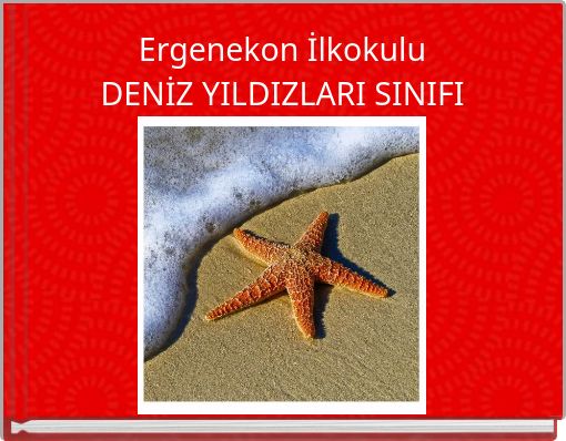 Ergenekon İlkokulu DENİZ YILDIZLARI SINIFI