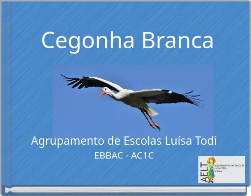 Cegonha Branca