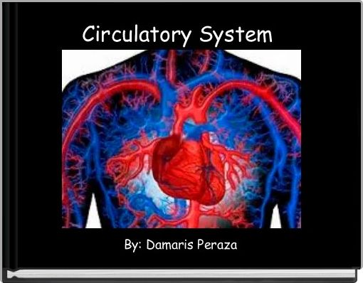 Circulatory System 