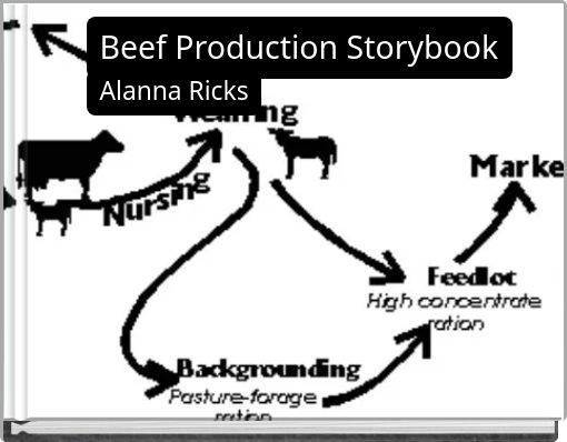 Beef Production Storybook
