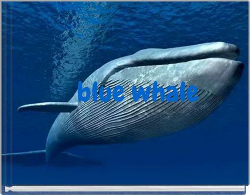 Front cover of 'blue whale' 
