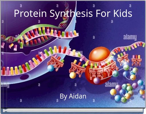 Protein Synthesis For Kids