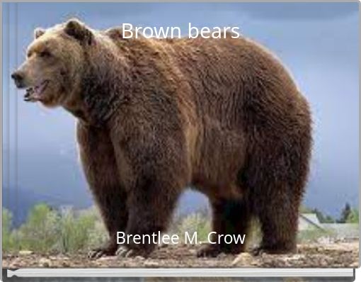 Brown bears