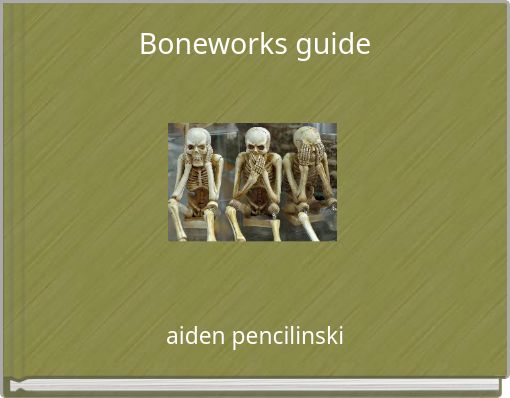 Boneworks guide
