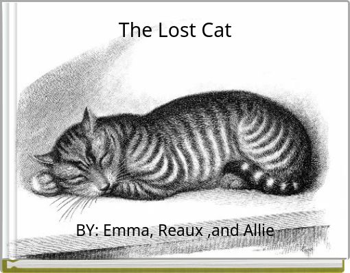 The Lost Cat