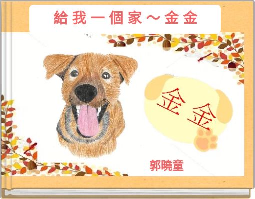 給 我 一 個 家 ～ 金 金