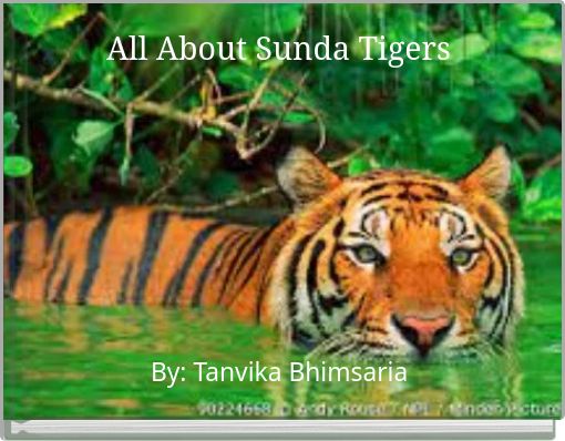All About Sunda Tigers