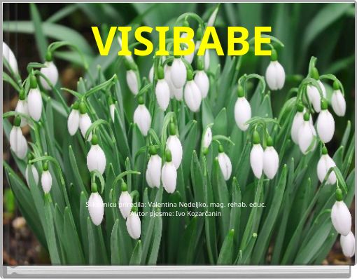 VISIBABE