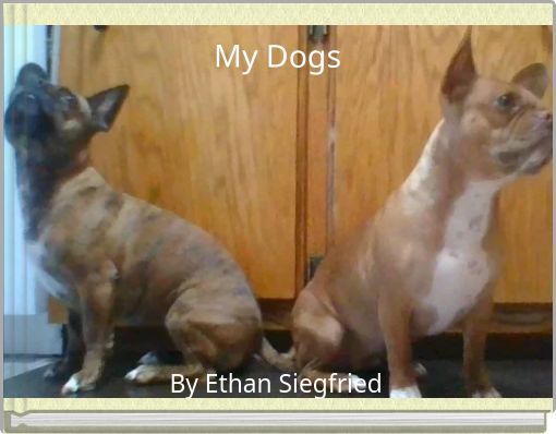 My Dogs