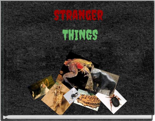 Front cover of 'Stranger THINGS' 
