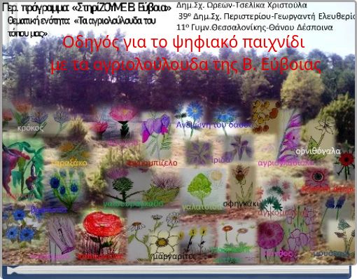 Οδηγός για το ψηφιακό παιχνίδι με τα αγριολούλουδα της Β. Εύβοιας