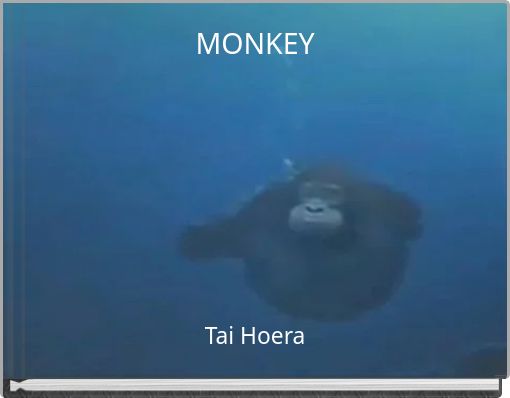 MONKEY