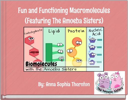 Fun and Functioning Macromolecules (Featuring The Amoeba Sisters)