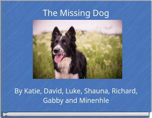 The Missing Dog
