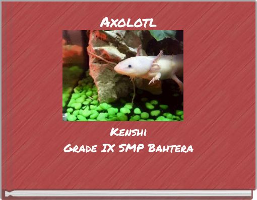 Front cover of 'Axolotl' 