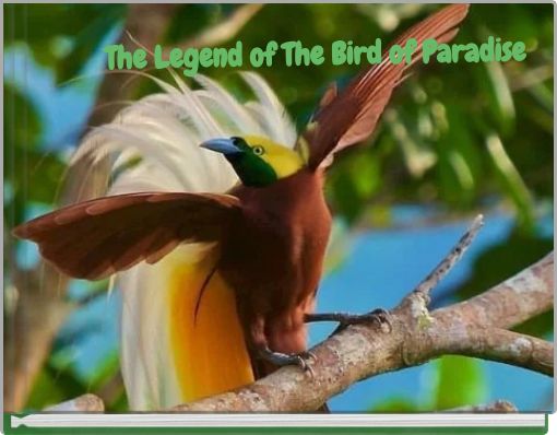 The Legend of The Bird of Paradise