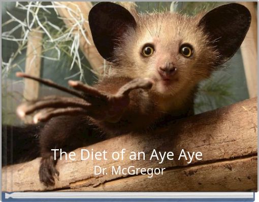 The Diet of an Aye Aye