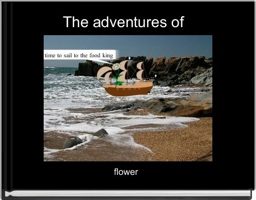 Front cover of 'The adventures of  ' 