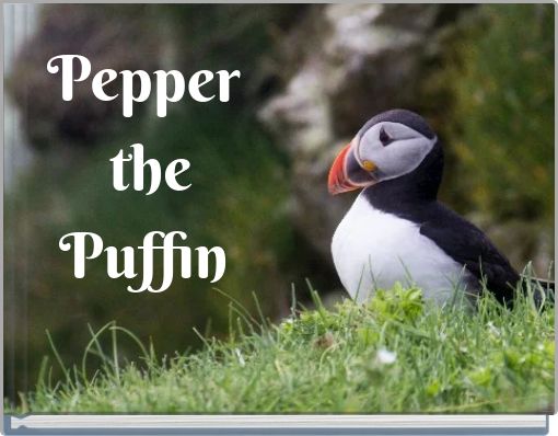 Pepper the Puffin