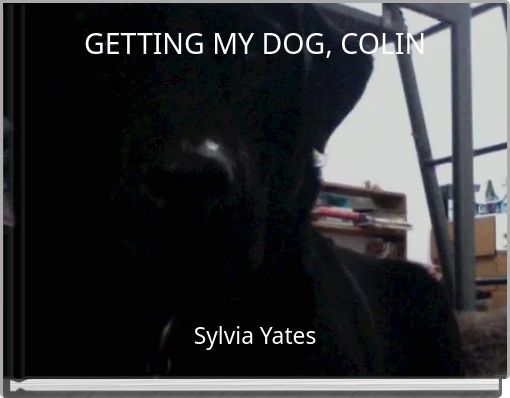 GETTING MY DOG, COLIN