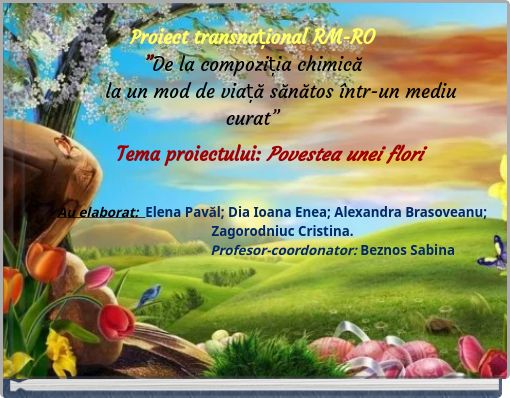 Proiect transnațional RM-RO ”De la compoziția chimică la un mod de viață sănătos într-un mediu curat”