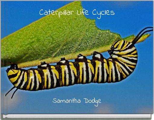 Caterpillar Life Cycles