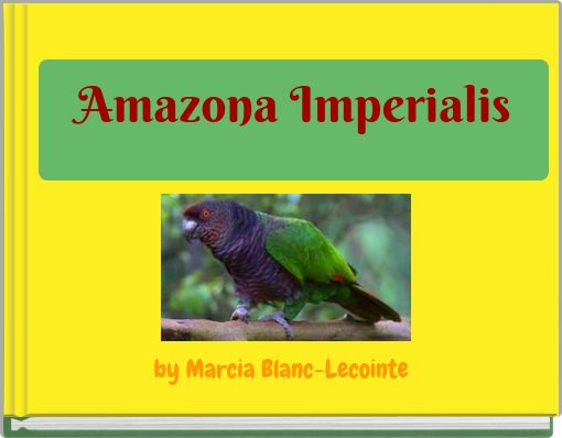 Amazona Imperialis