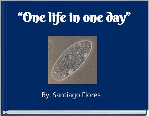 “One life in one day”