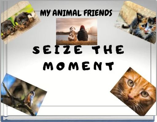 MY ANIMAL FRIENDS