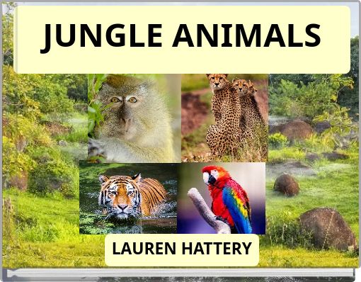 JUNGLE ANIMALS