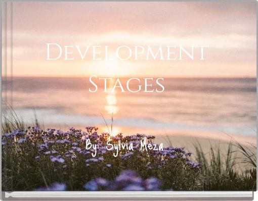 Development Stages