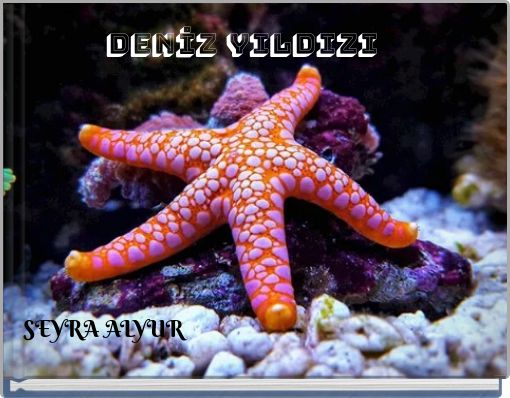 DENİZ YILDIZI