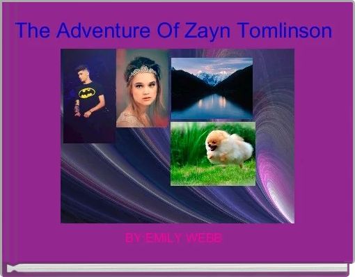 The Adventure Of Zayn Tomlinson 