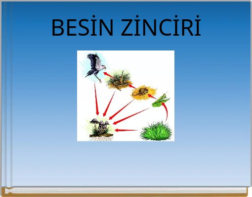 BESİN ZİNCİRİ