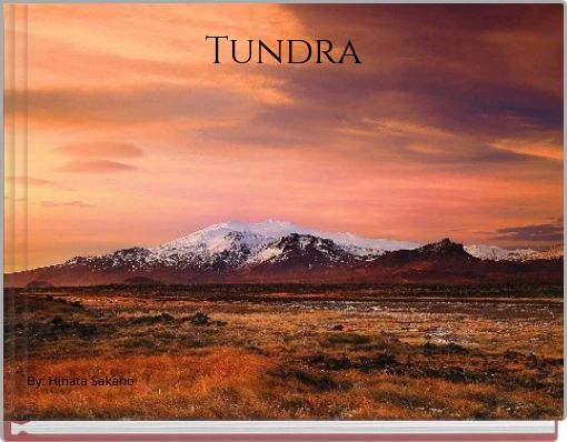 Tundra