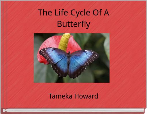 The Life Cycle Of A Butterfly