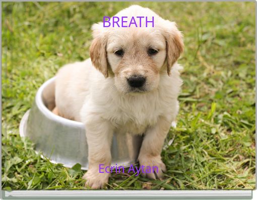 Front cover of 'BREATH' 