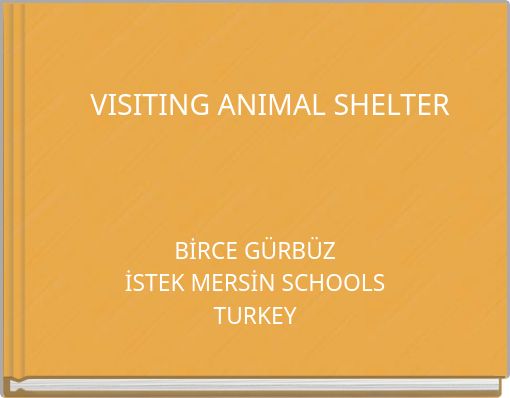 VISITING ANIMAL SHELTER