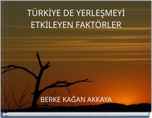 T&Uuml;RKİYE DE YERLEŞMEYİ ETKİLEYEN FAKT&Ouml;RLER
