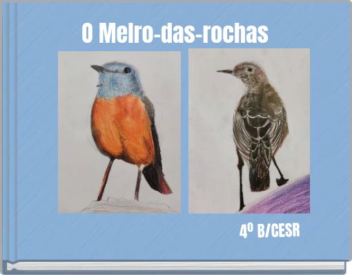 O Melro-das-rochas
