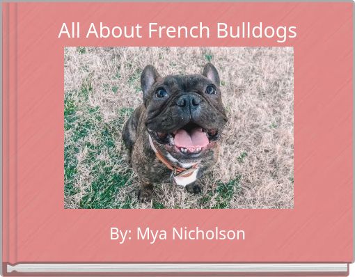 All About French Bulldogs