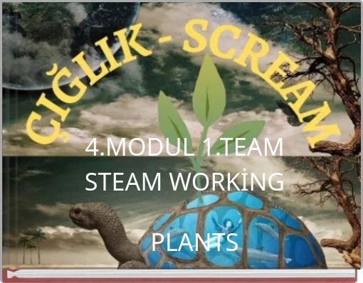 4.MODUL 1.TEAM STEAM WORKİNG PLANTS