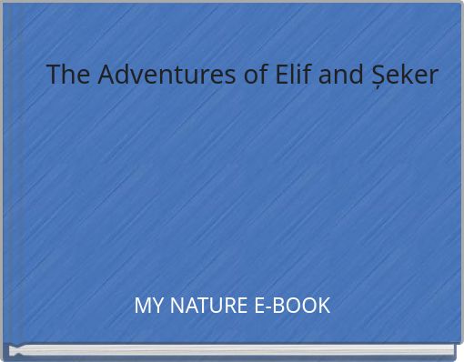 The Adventures of Elif and Șeker