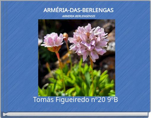 ARM&Eacute;RIA-DAS-BERLENGAS ARMERIA BERLENGENSIS