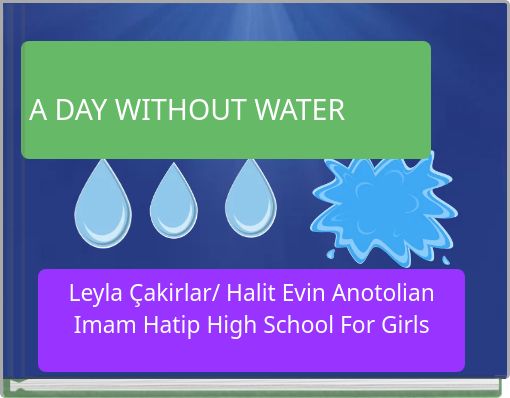 Book Cover for: A DAY WITHOUT WATER