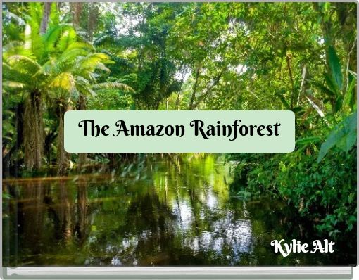 The Amazon Rainforest