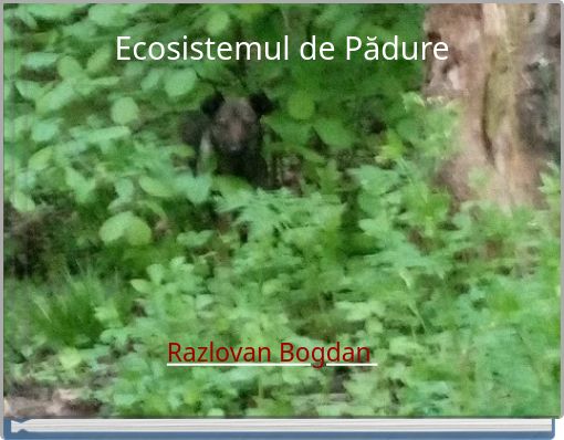 Ecosistemul de Pădure