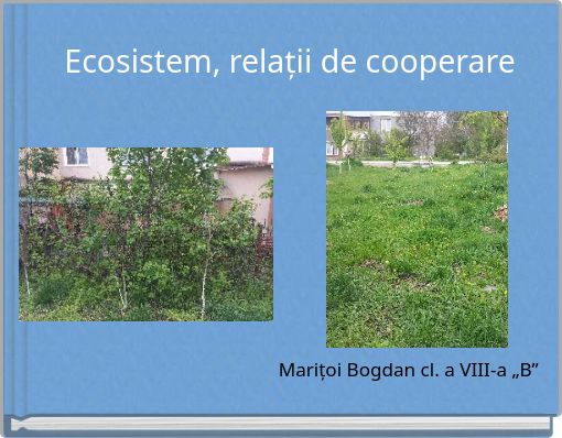 Ecosistem, relații de cooperare