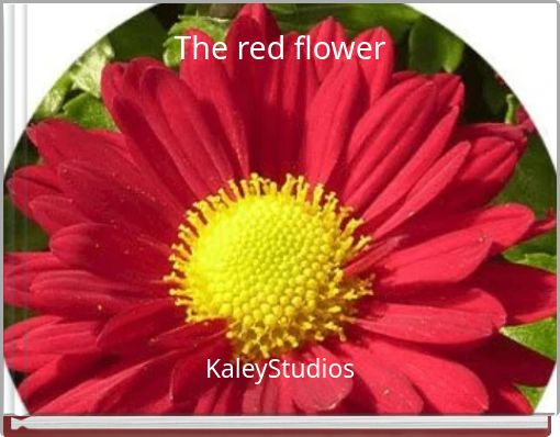 Front cover of 'The red flower' 