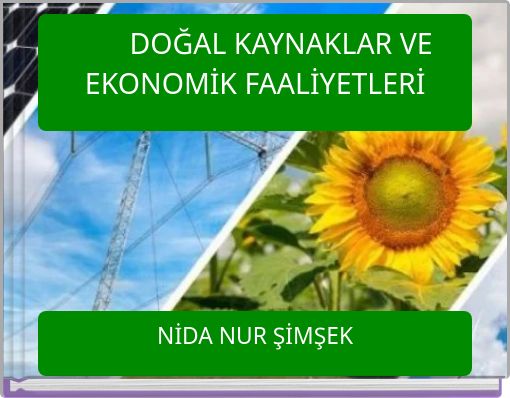 DOĞAL KAYNAKLAR VE EKONOMİK FAALİYETLERİ